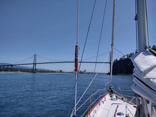 IMG_20240719_131542014_HDR